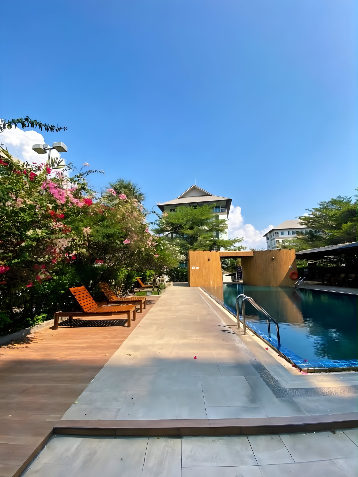 J Park Hotel poolside loungers